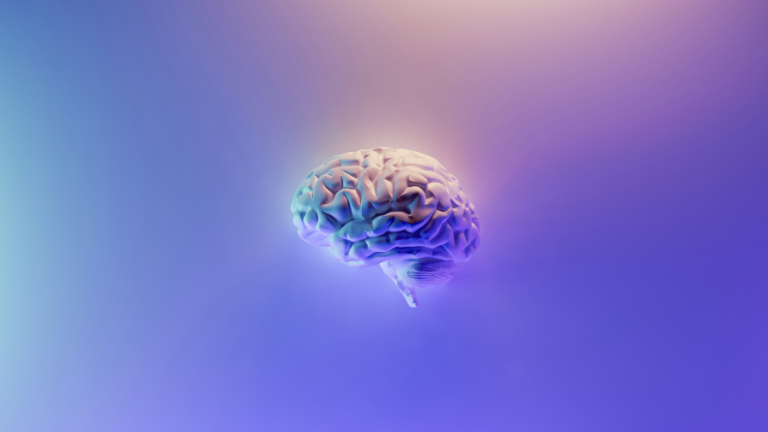 cerebro-humano